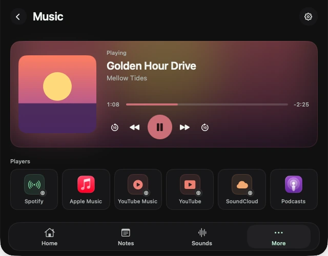 Real NotchBuddy Music panel