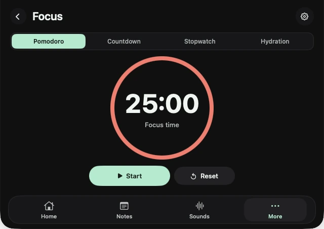 Real NotchBuddy Focus panel